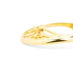 Ladies Brown Belt With Gold Buckle -Belt Shop WEGD30LACE 3