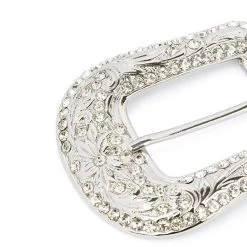 Lady Western Beige Suede Belt With Rhinestone Buckle -Belt Shop WENI34RHI 1 13